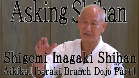 Asking Shihan, Shigemi Inagaki Shihan, Part 1, Aikido Journey