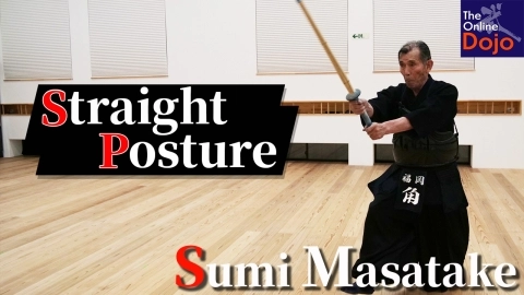 Striking with Correct Posture