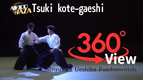 Part 25 tsuki kote-gaeshi, 360°View by Mitsuteru Ueshiba - Fundamentals
