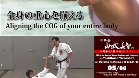 Okinawan Kenpo “Basic Techniques” Seminar by Yoshitomo Yamashiro Part 5