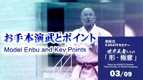 Ryuei-ryu KARATE Seminar  "Kata Secrets" of World Champions Part 3