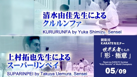 Ryuei-ryu KARATE Seminar  "Kata Secrets" of World Champions Part 5