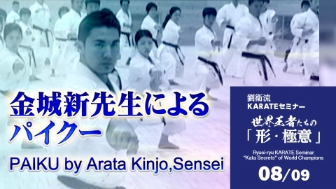 Ryuei-ryu KARATE Seminar  "Kata Secrets" of World Champions Part 8