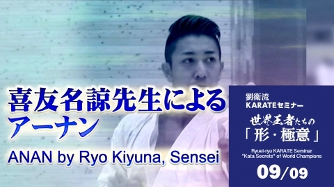 Ryuei-ryu KARATE Seminar  "Kata Secrets" of World Champions Part 9