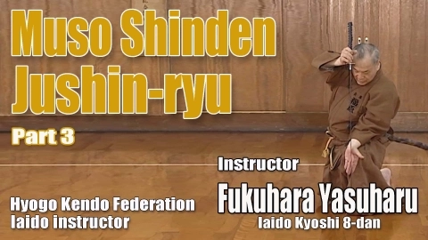 Koryu Muso Shinden Jushin-ryu Part 3