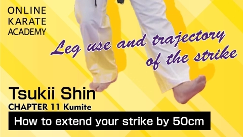ONLINE KARATE ACADEMY  TSUKII SHIN - CHAPTER 11 Kumite