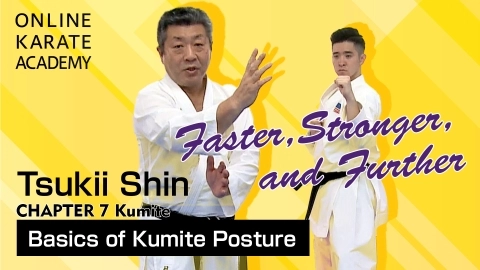 ONLINE KARATE ACADEMY  TSUKII SHIN - CHAPTER 7 Kumite