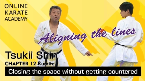 ONLINE KARATE ACADEMY  TSUKII SHIN - CHAPTER 12 Kumite