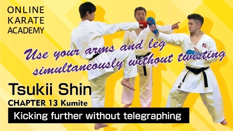 ONLINE KARATE ACADEMY  TSUKII SHIN - CHAPTER 13 Kumite
