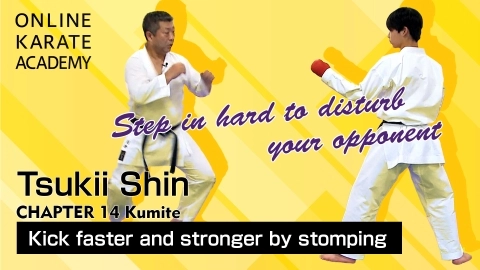 ONLINE KARATE ACADEMY  TSUKII SHIN - CHAPTER 14 Kumite
