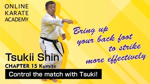 ONLINE KARATE ACADEMY  TSUKII SHIN - CHAPTER 15 Kumite