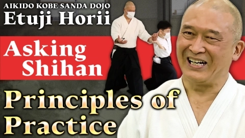 Asking Shihan, Etsuji Horii Shihan, Part 1, Principles of practice