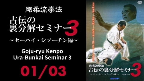 Goju-ryu Kenpo Ura-Bunkai Seminar 3　Part 1