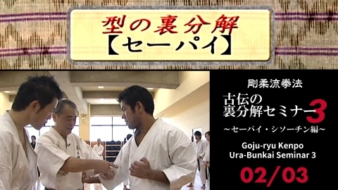 Goju-ryu Kenpo Ura-Bunkai Seminar 3　Part 2