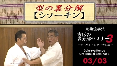 Goju-ryu Kenpo Ura-Bunkai Seminar 3　Part 3