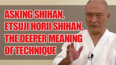 Asking Shihan, Etsuji Horii Shihan, Part 3, The deeper meaning of technique