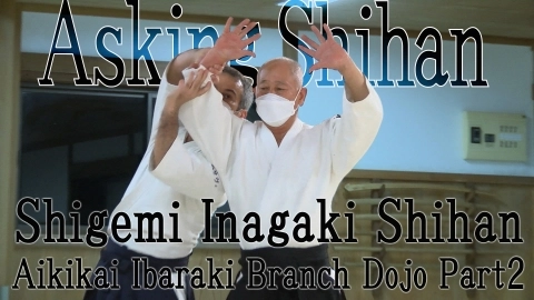 Asking Shihan, Shigemi Inagaki Shihan, Part 2, Principles of practice