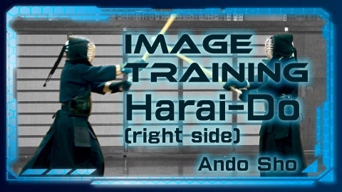 Image Training Ando Sho Harai-Do [ right side ]
