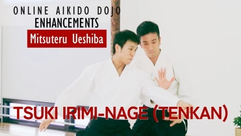 Part 2 Gyaku-hanmi tsuki irimi-nage, ONLINE AIKIDO DOJO by Mitsuteru Ueshiba - Enhancements