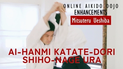Part 5 Ai-hanmi katate-dori shiho-nage ura, ONLINE AIKIDO DOJO by Mitsuteru Ueshiba - Enhancements