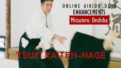 Part 9 Tsuki kaiten-nage, ONLINE AIKIDO DOJO by Mitsuteru Ueshiba - Enhancements