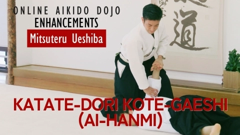 Part 13 Katate-dori kote-gaeshi(ai-hanmi), ONLINE AIKIDO DOJO by Mitsuteru Ueshiba - Enhancements