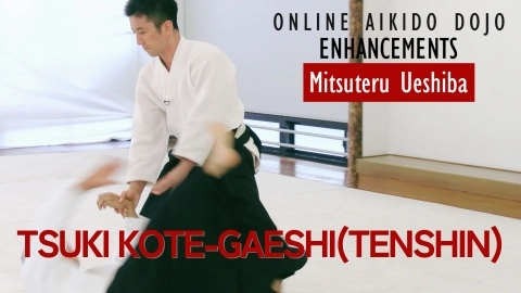 Part 14 Tsuki kote-gaeshi(tenshini), ONLINE AIKIDO DOJO by Mitsuteru Ueshiba - Enhancements