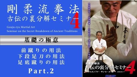 剛柔流拳法 古伝の裏分解セミナー4 ~サンセール・クルルンファ編~ Part.2