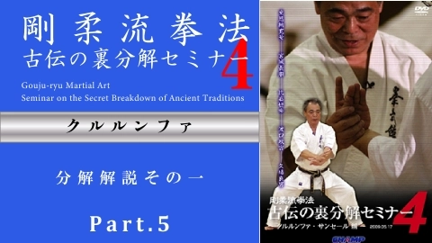 剛柔流拳法 古伝の裏分解セミナー4 ~サンセール・クルルンファ編~ Part.5