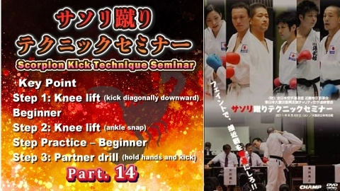 Scorpion Kick Technique Seminar Part.13