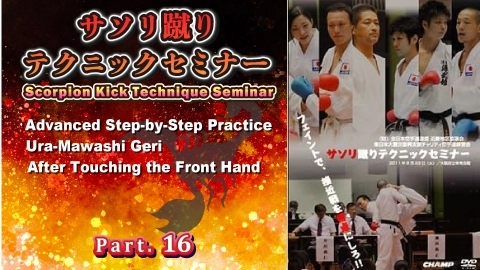 Scorpion Kick Technique Seminar Part.16