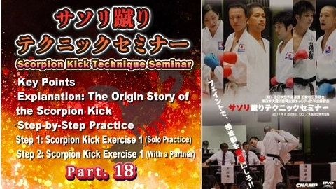 Scorpion Kick Technique Seminar Part.18